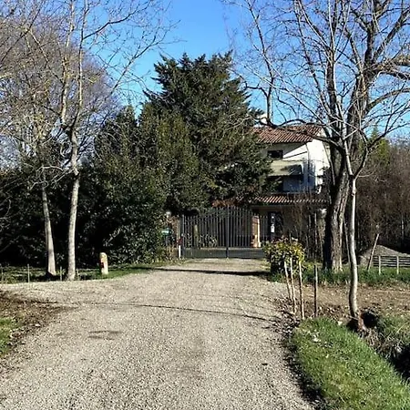 Bosco In Citta
