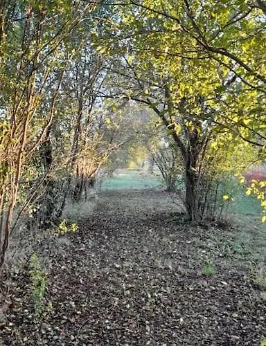 Bosco In Appartamento Cade